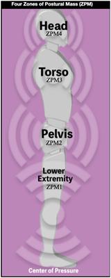 Interoceptive posture awareness and accuracy: a novel photographic strategy towards making posture actionable